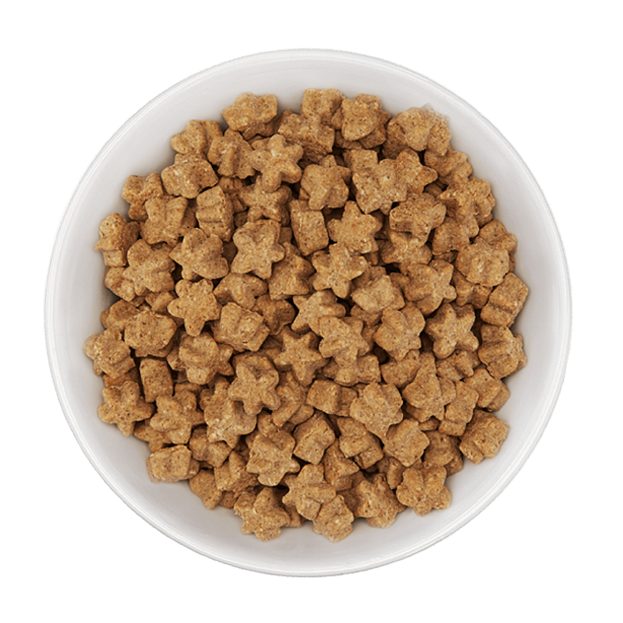 Tiki Dog Aloha Petites Lamb Luau