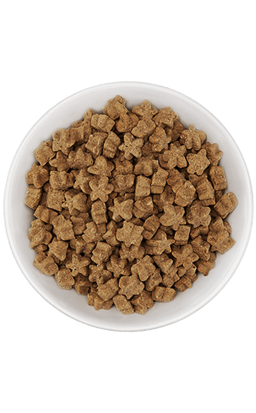 Tiki Dog Aloha Petites Fish Luau