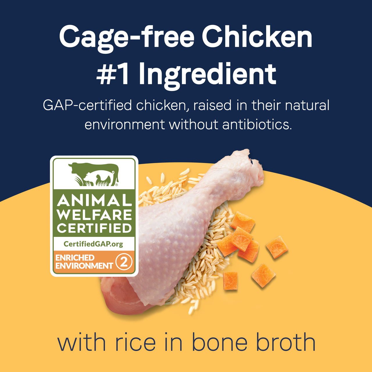 PURE 2-in-1 Goodness Pate- Real Chicken & Carrots in Bone Broth