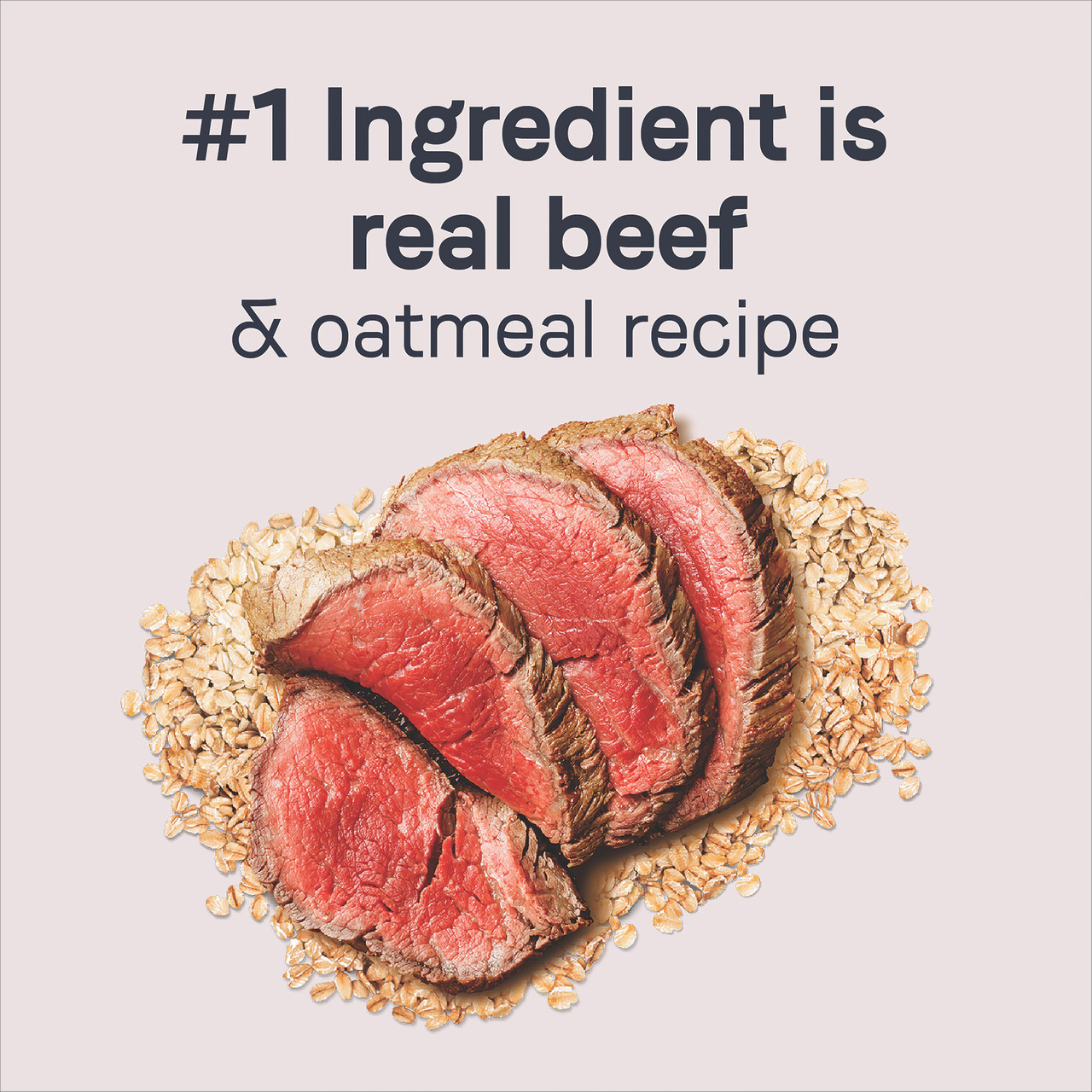 Goodness Dry Dog Food: Real Beef & Oatmeal GÇö Canidae