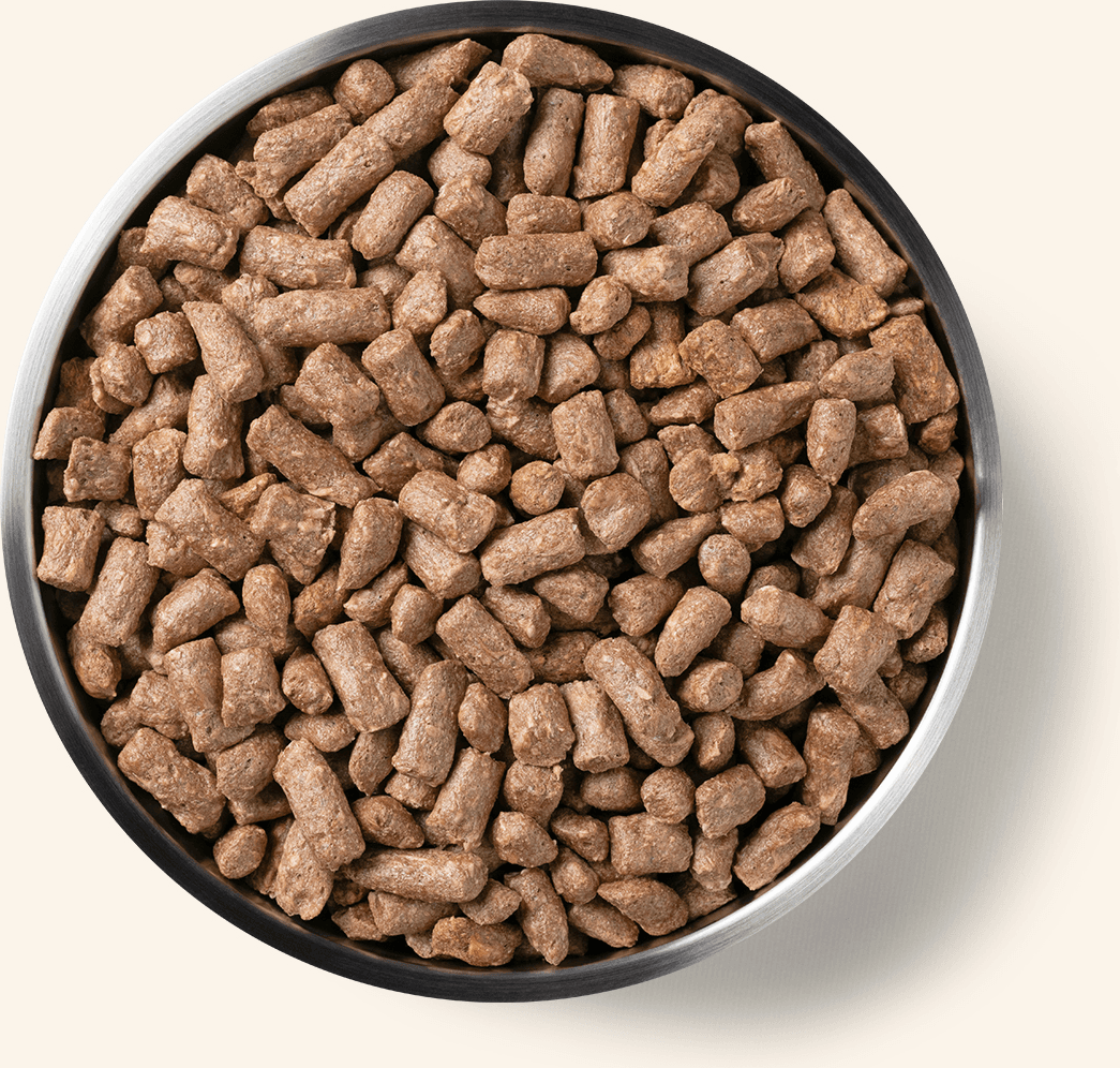 Freeze-Dried Chicken Entree Dog Food Mini Nibs