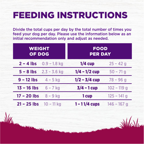 Complete Health Grained Small Breed Senior Turkey & Peas - Dog