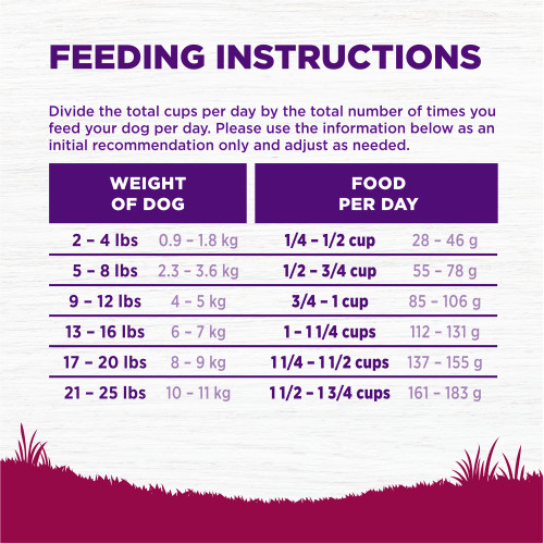 Wellness Complete Health Grained Small Breed Turkey & Oatmeal