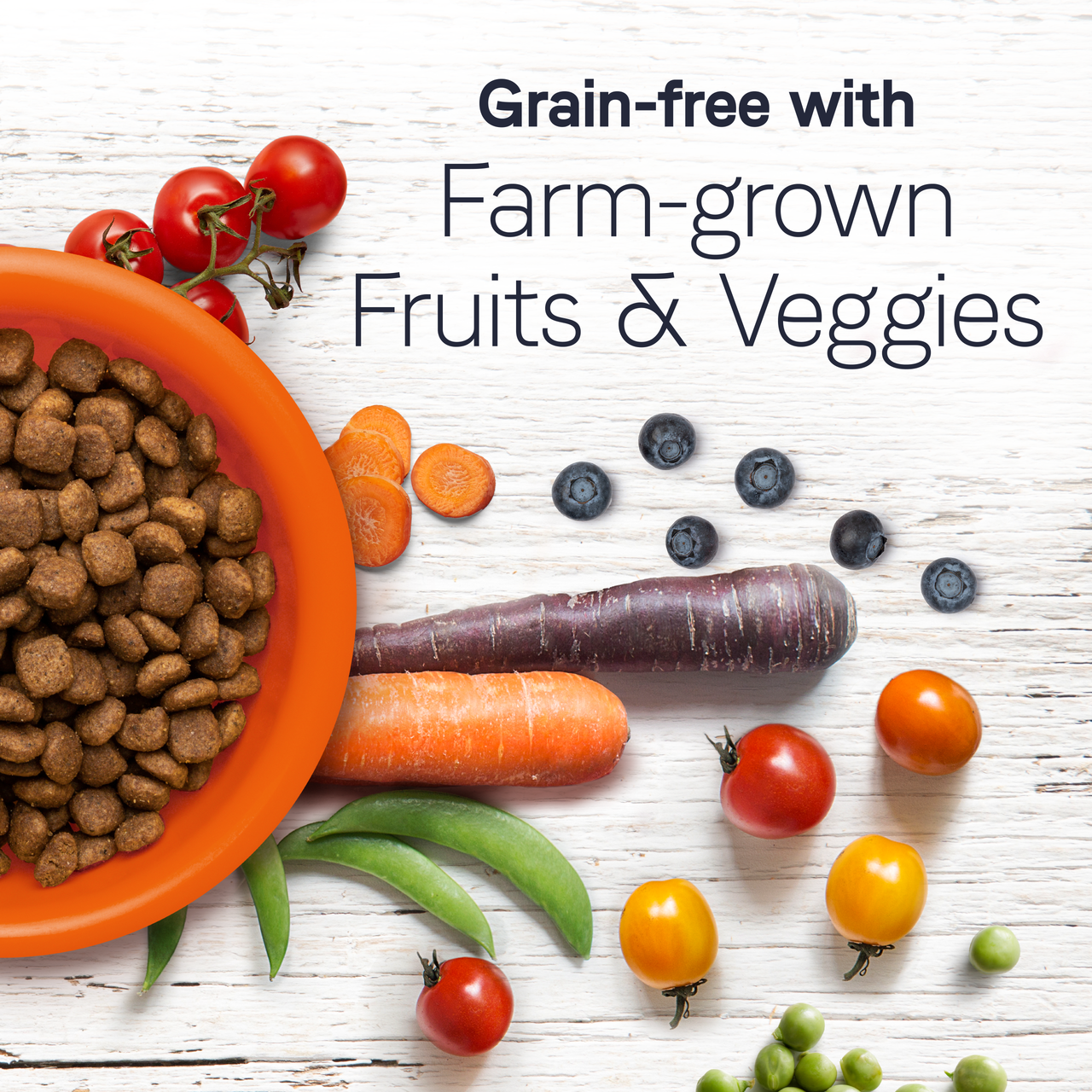 Under the Sun Dry Dog Food: Grain Free Whitefish Recipe - Canidae