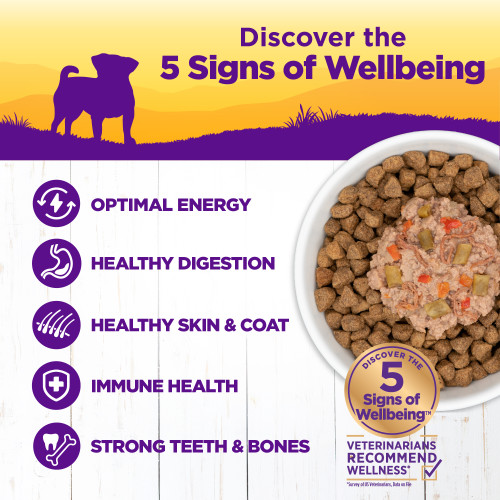 Wellness Complete Health Petite Entres Shredded Medley Roasted Chicken, Beef, Green Beans & Red Peppers