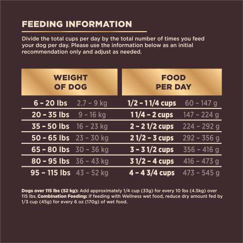 CORE+ Wholesome Grains Original Turkey Chicken Freeze Dried