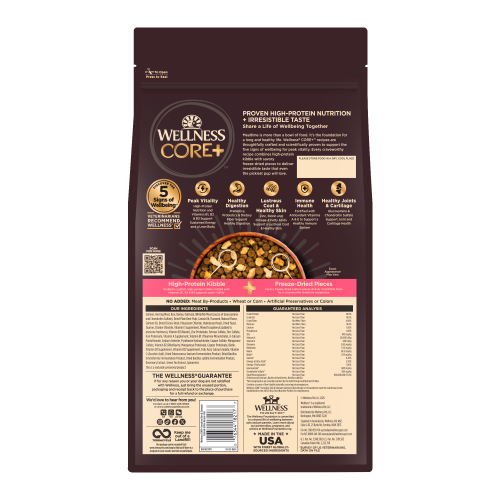 CORE+ Wholesome Grains Sensitive Skin Stomach Salmon & Rice