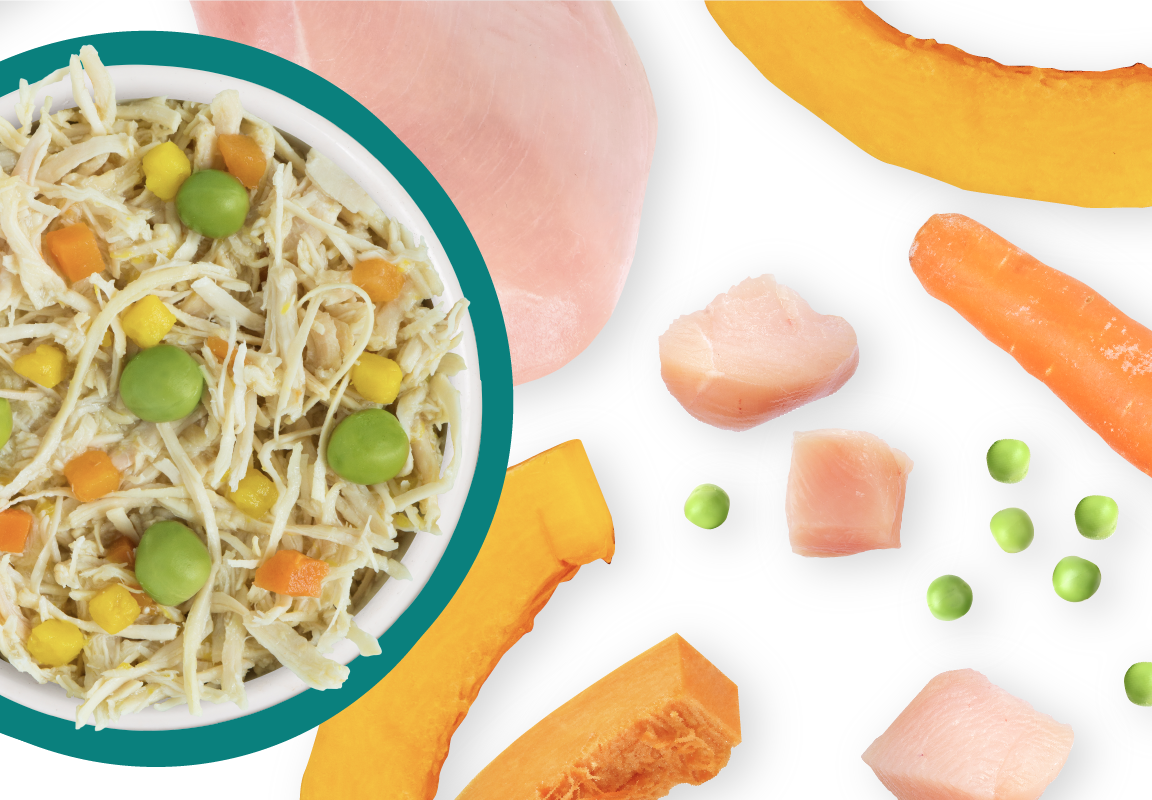 Weruva Classic Dog Funky Chunky Chicken Soup with Pumpkin Wet Food