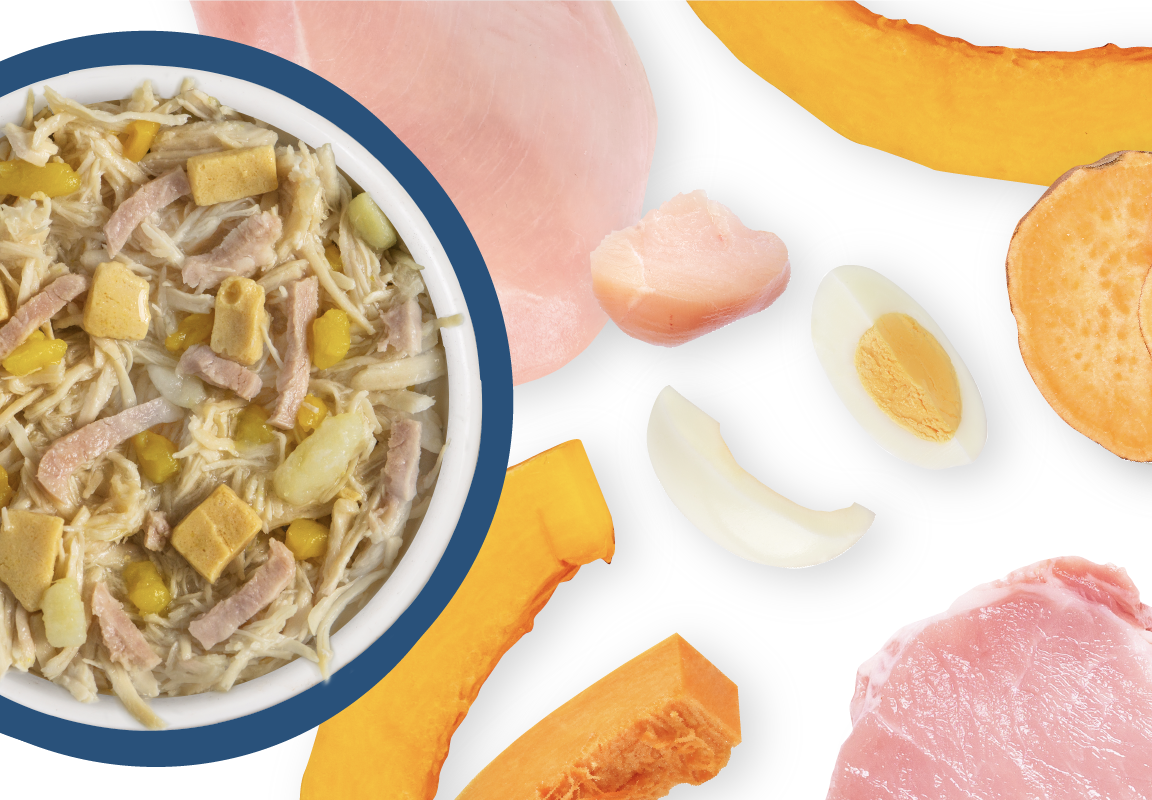 Weruva Classic Dog Bed & Breakfast Chicken, Egg & Pumpkin Wet Food