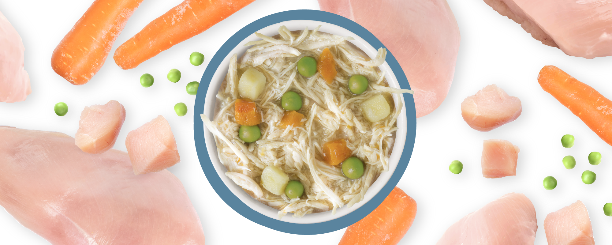 Weruva Classic Dog Grandma's Chicken Soup with Veggies Wet Canned Food