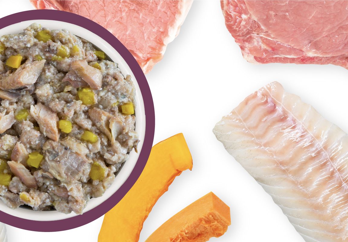 Weruva Classic Dog Hot Dayam with Lamb in Gele Wet Canned Food