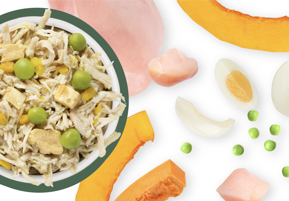 Weruva Classic Dog Green Eggs & Chicken with Pumpkin & Greens Wet Food