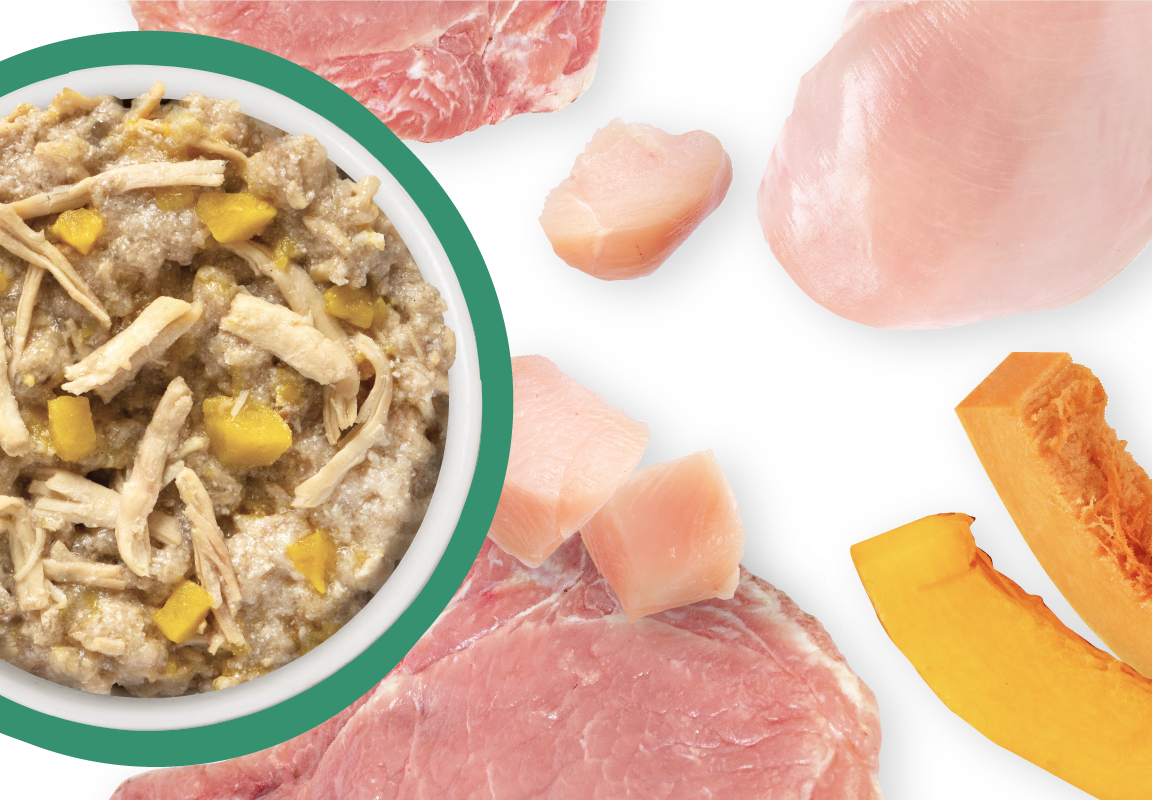 Weruva Classic Dog That's My Jam Chicken & Lamb in Gele Wet Food