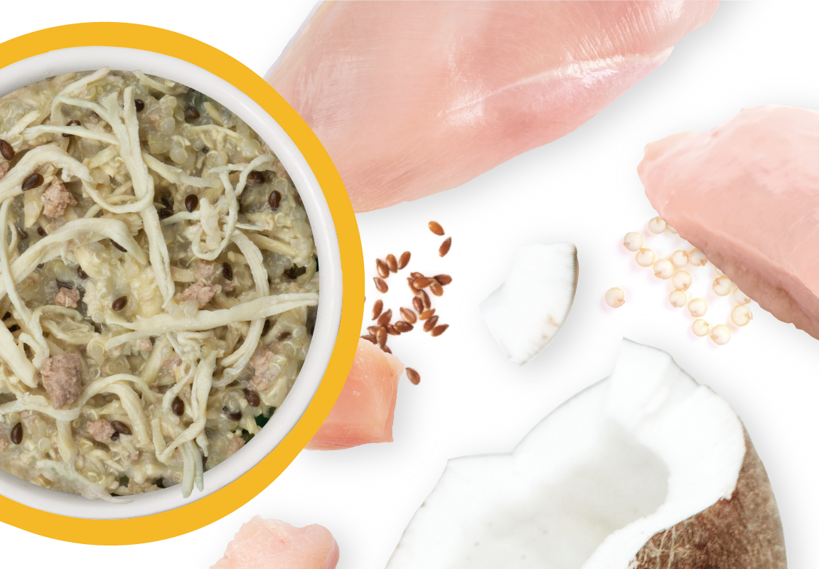 Weruva Meals 'n More Paw Lickin' Chicken Recipe Plus Skin & Coat Health Wet Dog Food