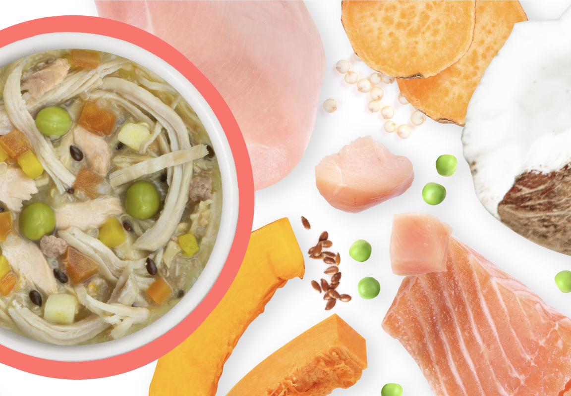 Weruva Meals 'n More Jammin' Salmon Recipe Plus Skin & Coat Health Wet Dog Food