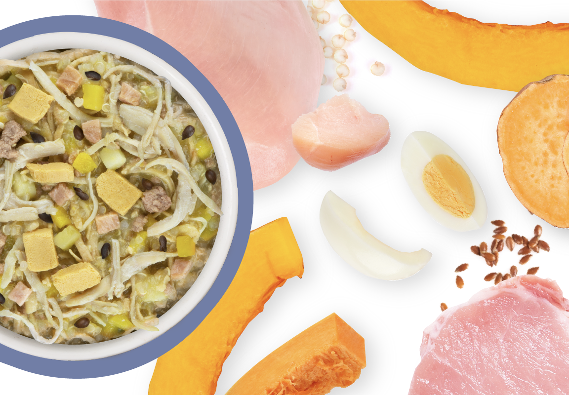 Weruva Meals 'n More Bed and Breakfast Plus Digestive Support Wet Dog Food