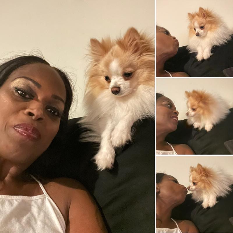 WholeHearted Grain Free Small-Breed Beef and Pea Recipe Adult Dry Dog Food, 5 lbs.