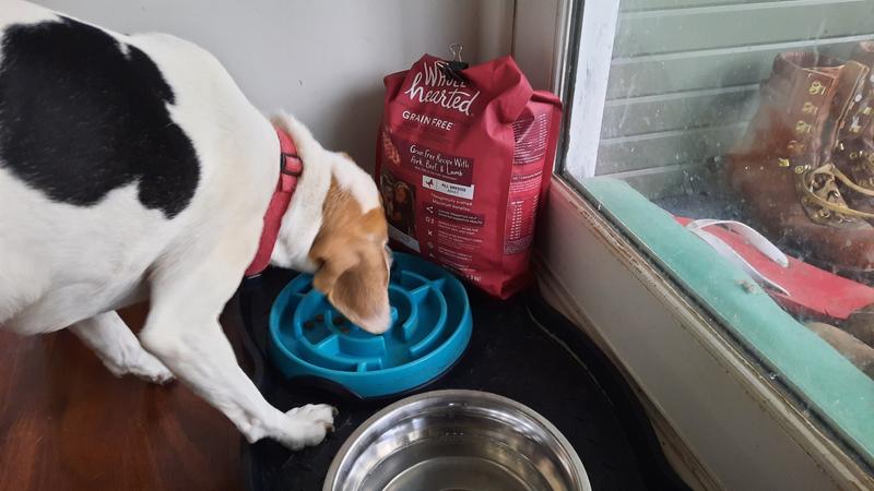 WholeHearted Grain Free Pork, Beef & Lamb Recipe Dry Dog Food, 5 lbs.