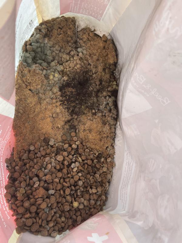 WholeHearted Plus Beef & Brown Rice Recipe with Whole Grains Plus Dry Dog Food, 30 lbs.