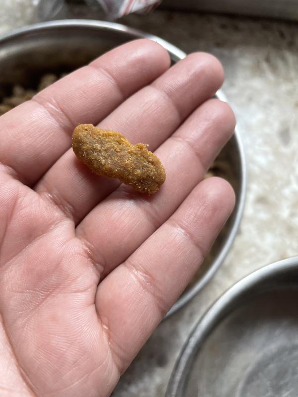 WholeHearted Whole Grains Lamb and Rice Recipe Dry Dog Food, 45 lbs.