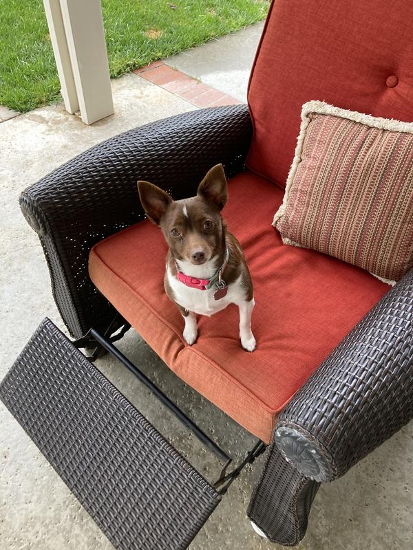 WholeHearted Healthy Benefits Weight Control Lamb and Pea Recipe Dry Dog Food, 25 lbs.