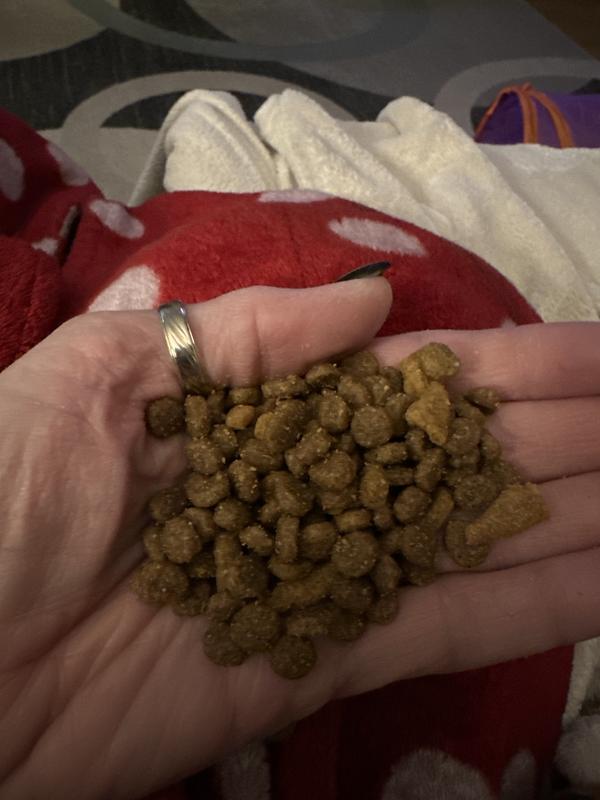 WholeHearted Plus Chicken & Brown Rice Recipe with Whole Grains Dry Puppy Food, 5 lbs.