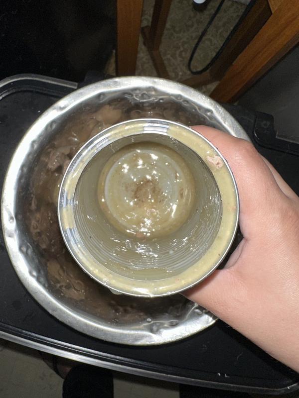 WholeHearted Lamb, Beef & Vegetables Recipe Cuts in Gravy Dog Food, 13.2 oz.