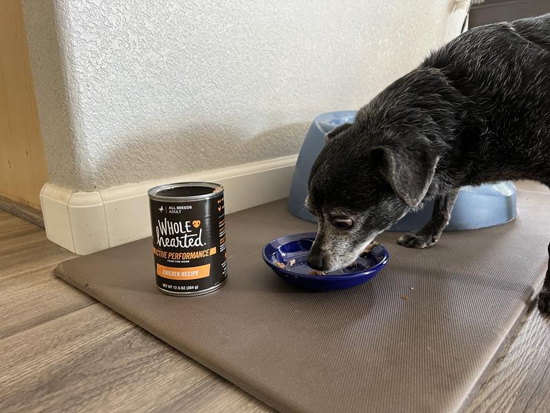 WholeHearted Active Performance Chicken Recipe Wet Dog Food With Whole Grains, 12.5 oz., Case of 12