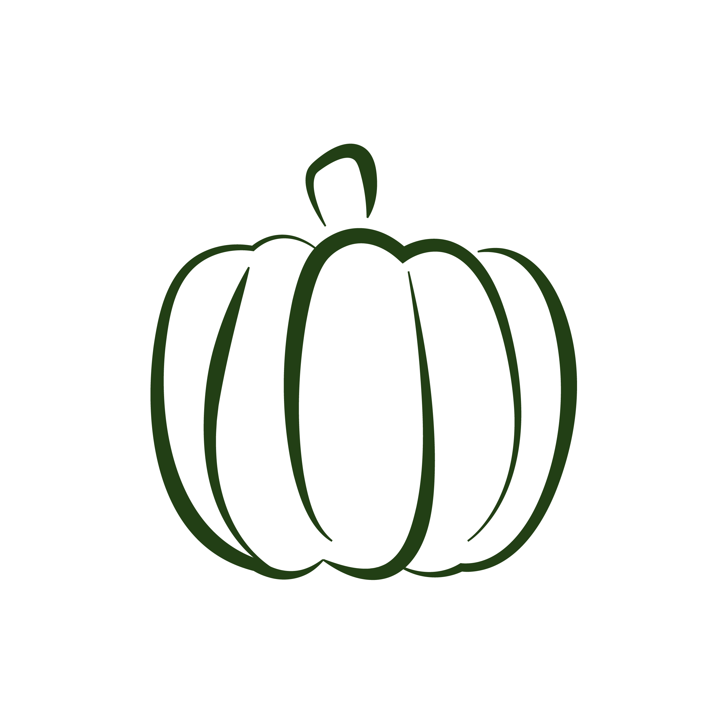 Steam & Dried Beef with Pumpkin Recipe for dogs