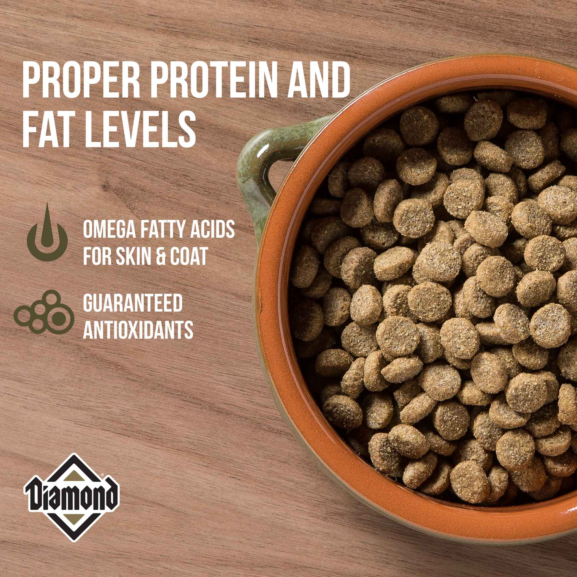 Diamond Maintenance Formula for Adult Dogs