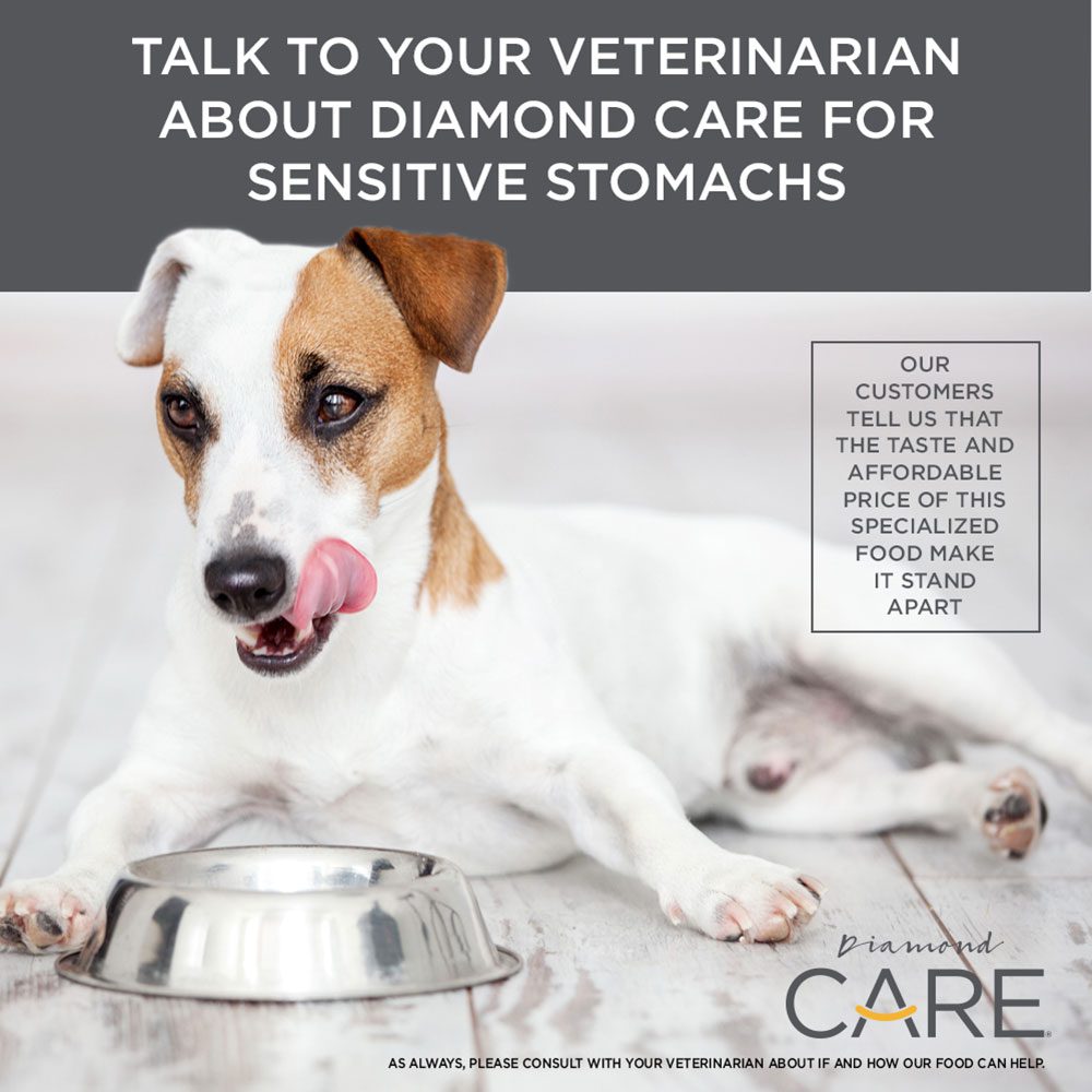 Diamond CARE Sensitive Stomach Formula for Adult Dogs