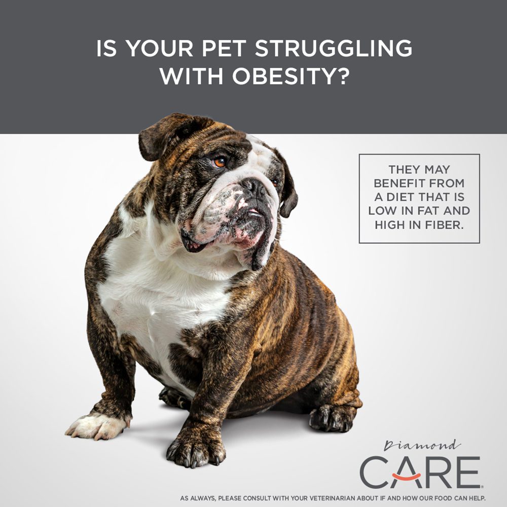 Diamond CARE Weight Management Formula for Adult Dogs