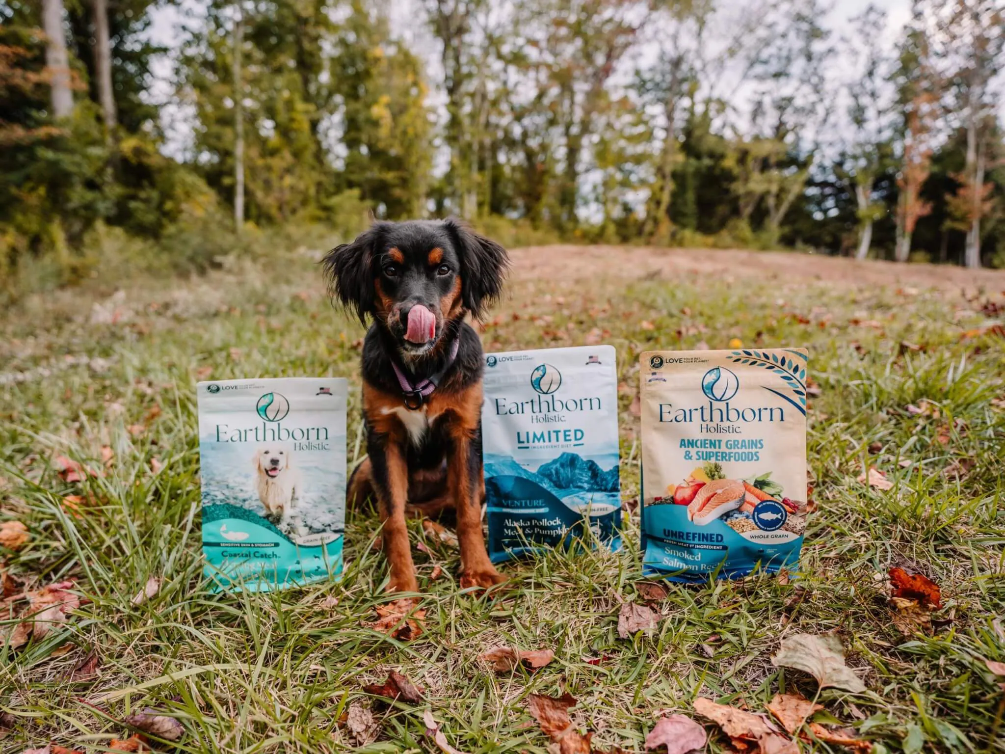 Unrefined Smoked Salmon