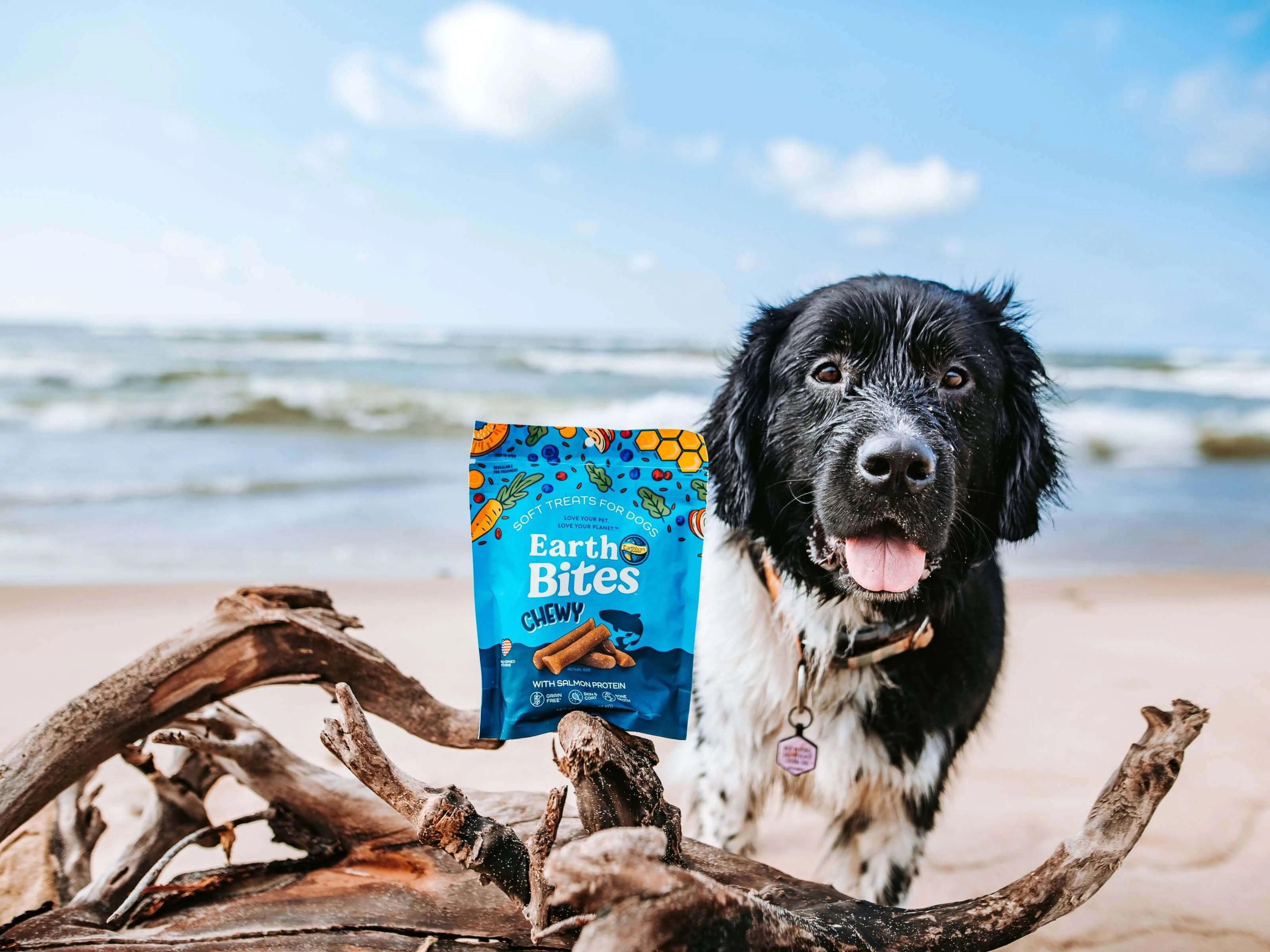 EarthBites Chewy with Salmon Protein